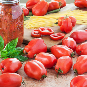 Rosii San Marzano 3 (0,4 g), seminte soi semitardiv nedeterminat, tomate pentru bulion, Agrosem