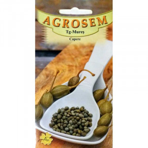 Capere (0,1 g), seminte planta aromatica perena Caparis spinosa, gust iute-acrisor, Agrosem - Img 2