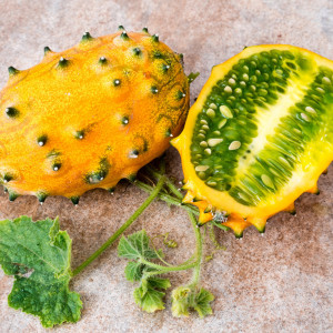 Castraveti africani Kiwano (3 seminte), planta cataratoare, fructe pentru salate, prajituri, muraturi, Agrosem - Img 4