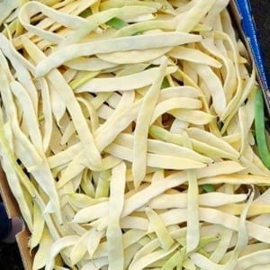 Fasole Goldmarie (30 g) seminte soi timpuriu productiv, fasole urcatoare galbena lata, boabe albe, Kertimag - Img 2