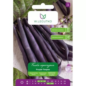 Plic seminte fasole pitica soiul Purple Teepee ambalaj original