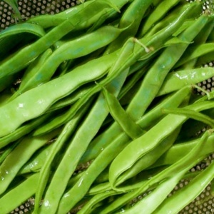 Fasole Supermarconi (20 g), seminte soi timpuriu, fasole urcatoare verde lata, pastai fragede, fara ate, Mefim Agro