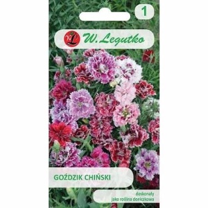 Plic seminte garofite chinezesti mix de culori tufa compacta