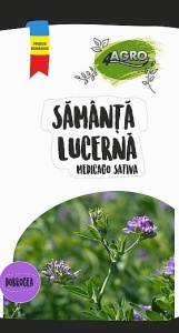 Lucerna Dobrogea C1 (1 kg) seminte soi romanesc de lucerna cu rezistenta mare la seceta si inghet, Patru Agro - Img 2