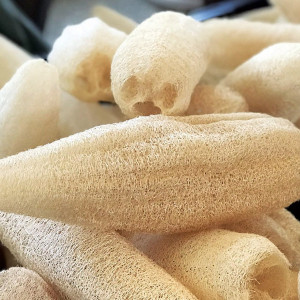 Luffa (1 g), seminte planta ornamentala Luffa cylindrica, produce bureti de baie, Kertimag - Img 3