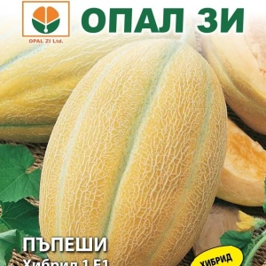 Pepene galben Hibrid 1 F1 (1 g) seminte pepene galben hibrid bulgaresc extratimpuriu, miez extrem de dulce si aromat, Opal
