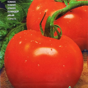 Rosii Campbell 33 (3 g), seminte soi determinat, tomate mari, zemoase, gustoase, Raci Sementi - Img 2