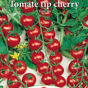 Rosii cherry Ciliegia (0,4 g), seminte soi vechi italian, cele mai dulci tomate cherry, Prima Sementi - Img 2