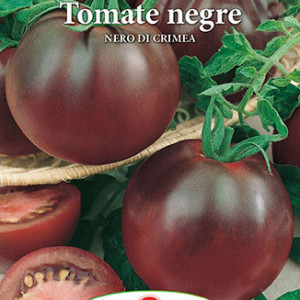 Rosii Nero di Crimea (0,4 g), seminte tomate Black Krim soi extratimpuriu, crestere nedeterminata, fructe extrem de aromate, Prima Sementi - Img 3