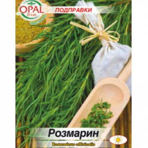 Rozmarin (0,1 g) seminte planta aromatica decorativa, condiment si medicinala, Opal - Img 2