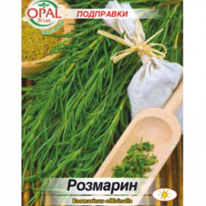 Rozmarin (0,1 g), seminte planta aromatica perena, decorativa, condiment si medicinala, Opal - Img 2