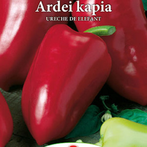 Ardei capia Ureche de Elefant (0,7 g), seminte soi sarbesc, ardei lung Slonovo Uvo, dulce, foarte productiv, rezistent la boli, Prima Sementi - Img 2