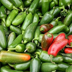 Ardei iute mexican Jalapeno (0,3 g), seminte soi ardei foarte iute, pulpa groasa, zemoasa, Prima Sementi - Img 1