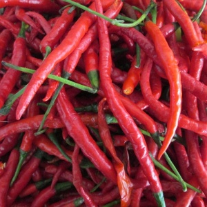 Ardei pentru boia Tuzes Piros - Red Cayenne (0,5 g) seminte ardei iute rosu intens, gust foarte iute, renumit pentru boia si fulgi de chili, Kertimag