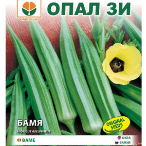 Bame verzi Clemson Spineless (5 g) seminte bame verzi soi timpuriu, fructe foarte fragede, Opal