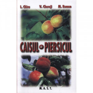 Caisul si piersicul, MAST