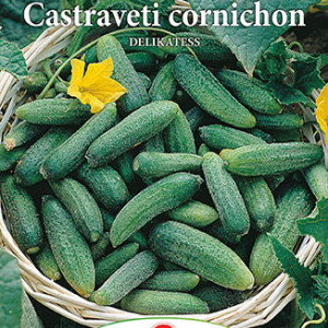 Castraveti cornichon Delikatess (3 g), seminte soi semitimpuriu cornison Delicates, fructe crocante, Prima Sementi - Img 2