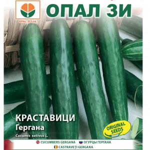Castraveti Gergana (2 g), seminte castraveti soi bulgaresc timpuriu pentru salata, lungi, gust specific puternic, Opal
