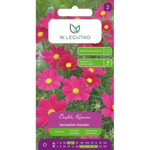 Plic seminte flori Mararite Cosmos Sensation Dazzler ambalaj original