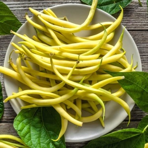 Fasole Gold (80 g) seminte fasole pitica, pastai galben-aurii cilindrice fara ate, boabe albe, Opal - Img 2