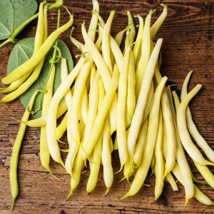 Fasole pitica Cherokee (50 g) seminte fasole fideluta galbena cu boabe negre, soi rezistent la boli, frig sau caldura, Kertimag