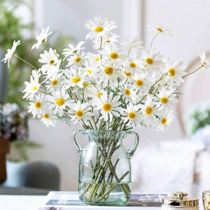 Margarete albe (0,25 g), seminte planta ornamentala Leucanthemum maximum, Kertimag - Img 4