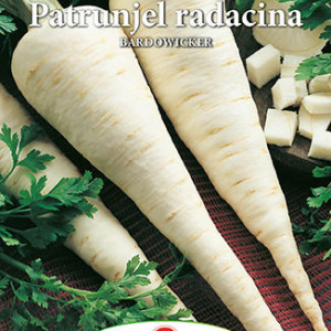Patrunjel radacina Bardowicker (5 g), seminte soi semitardiv, radacini albe, dulci, gust placut, Prima Sementi - Img 2