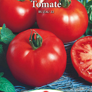 Rosii Buzau 22 (0,3 g), seminte soi romanesc semitardiv determinat, tomate productive, Prima Sementi - Img 2