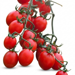 Rosii cherry Principe Borghese (0,5 g) seminte soi italian semideterminat, tomate cherry gust deosebit, Mefim Agro