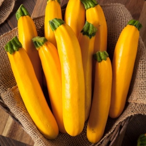 Zucchini Goldena (3 g) seminte dovlecei galben-aurii foarte productivi, pulpa cremoasa, gust delicat, Kertimag