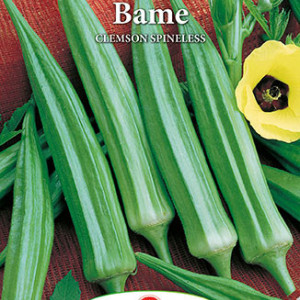 Bame Clemson (6 g), seminte bame verzi soi semitimpuriu, fructe verzi, fragede, Prima Sementi - Img 2