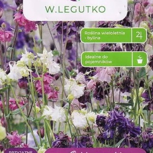 Plic semințe căldărușe sălbatice mix Aquilegia vulgaris flore plena ambalaj original