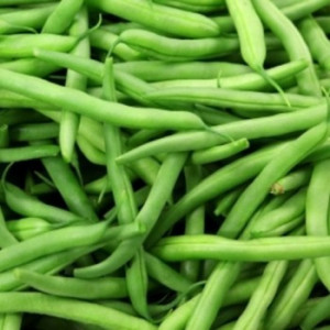 Fasole pitica Cannellino (100 g), seminte soi semitimpuriu, fasole oloaga pentru boabe, foarte productiva, Agrosem - Img 2