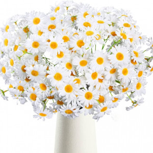 Margarete albe (0,25 g), seminte planta ornamentala Leucanthemum maximum, Kertimag - Img 5