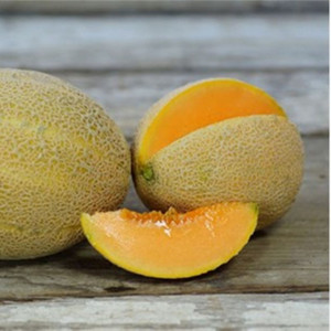 Pepene galben Ananas d'Amerique (3 g), seminte soi miez portocaliu, zemos, parfumat, Prima Sementi - Img 1