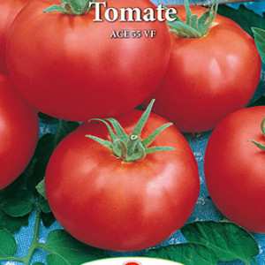 Rosii Ace 55 VF (0,7 g), seminte soi semitimpuriu semideterminat, tomate uniforme, ferme, Prima Sementi - Img 2
