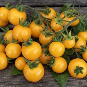 Roșii cherry Cereza Amarilla