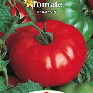 Rosii Marmande (0,5 g), seminte soi semitimpuriu semideterminat, tomate mari, fermitate buna, Prima Sementi - Img 3