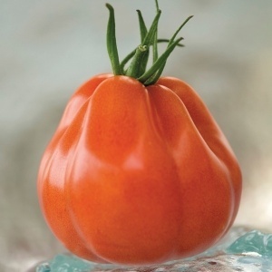Rosii Pearson sel d'Albenga F1 (0,3 g) seminte tomate mari, usor costate, pulpa ferma cu gust autentic, hibrid italian nedeterminat, Prima Sementi - Img 3