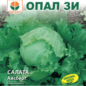 Salata Iceberg (2 g), seminte soi foarte productiv, salata rotunda, frunze verzi, ondulate, Opal