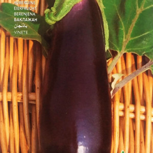 Vinete Violetta Lunga 2 (4 g), seminte soi timpuriu, vinete lungi, subtiri, seminte putine, Raci Sementi - Img 3