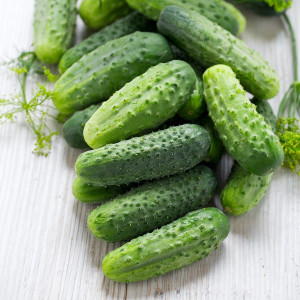 Castraveti cornichon Wisconsin (1,5 g), seminte soi semitimpuriu productiv, Agrosem