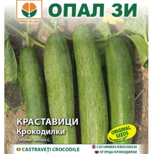 Castraveti Crocodile (1 g), seminte castraveti soi semi-lung, randament ridicat, gust foarte bun, Opal