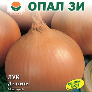 Ceapa Density (2 g) seminte soi mediu-timpuriu si tarziu, ceapa galbena bulbi rotunzi, fermi, Opal