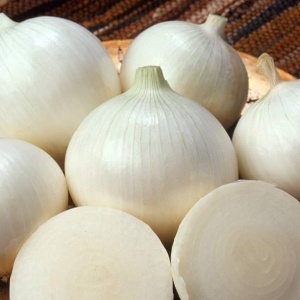 Ceapa Regina Alba (1,5 g) seminte soi timpuriu, ceapă cu bulbi mari, albi, aroma intensa, Prima Sementi - Img 2