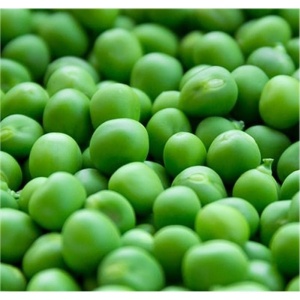 Mazare de gradina Meraviglia d'Italia (20 g) seminte soi timpuriu foarte productiv, pastai lungi cu boabe fragede, dulci, Prima Sementi - Img 2