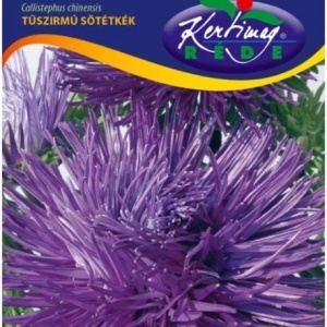 Ochiul Boului Unicum albastru (1 g) seminte Aster Callistephus chinensis cu flori mari, petale ascutite, Kertimag - Img 4