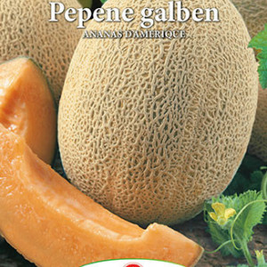 Pepene galben Ananas d'Amerique (3 g), seminte soi miez portocaliu, zemos, parfumat, Prima Sementi - Img 2