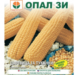 Porumb pentru floricele (20 g) seminte porumb pentru popcorn, floricele fragede, crocante, Opal