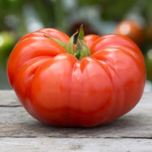 Rosii Beefmaster F1 (0,3 g) seminte hibrid nedeterminat de tomate gigant, carnoase, ferme, dulci, rezistente, Prima Sementi